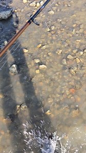 2.5K views | Muddy water fishing | Fish Head Assassin | Facebook