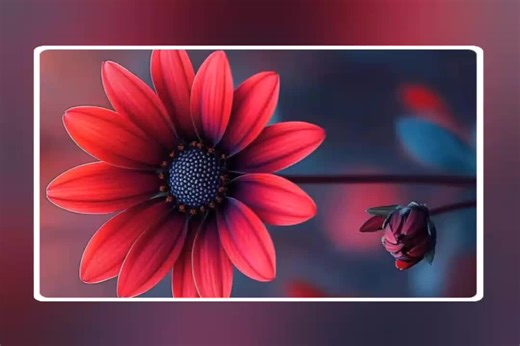 Dan yau lyrics على TikTok