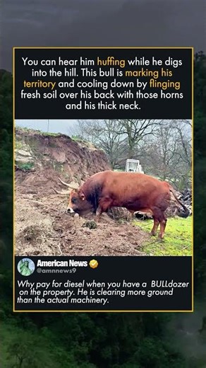 HE IS DOING THE EXCAVATORS JOB