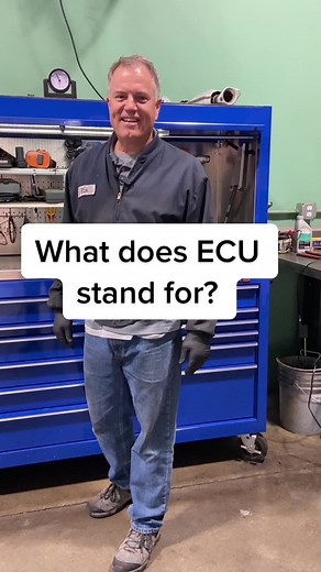 What Does ECU Stand For? Explained
