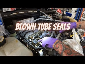 BLOWN TUBE SEAL! Ford 2.0 Liter Valve Cover Gasket Removal/Install #newtoyou #vehiclerepairs #howto