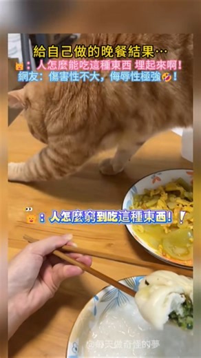 給自己做的晚餐結果…🐱：人怎麼能吃這種東西 埋起來啊❗網友：傷害性不大，侮辱性極強🤣 #cat #cute #funnyshorts #shorts #cutecat