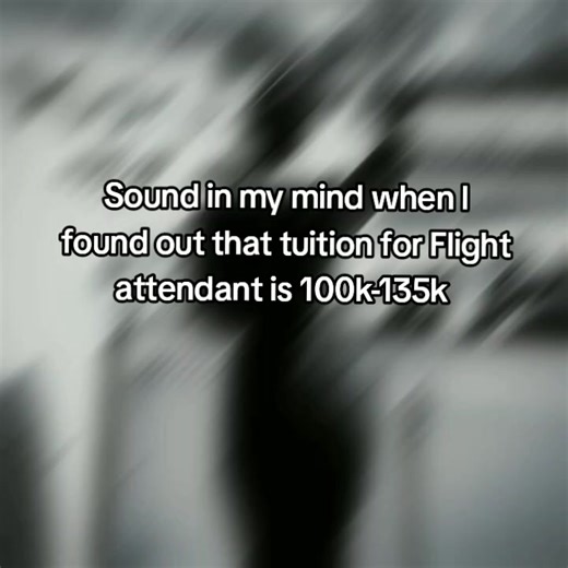 Understanding Flight Attendant Tuition Costs