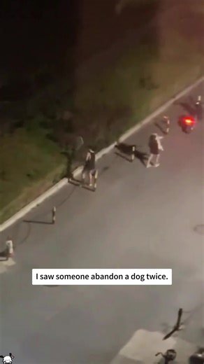 I rescued a dog that had been thrown into the grass #fyp #rescue #animals #dog #rescueanimals