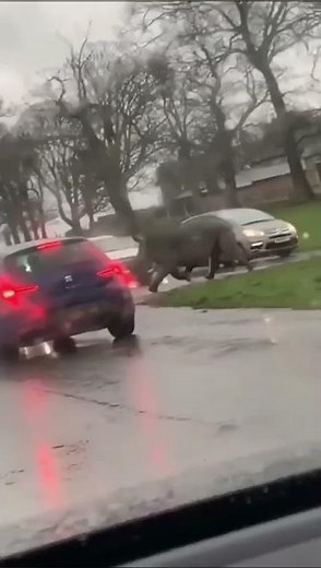 man pooping in his pants