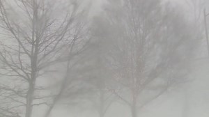 Unbelievable: Erie, Pa. received a record 53 inches of snow in only 30 hours. On Christmas day alone, 34 inches of snow fell on Erie. https://buff.ly/2C9cjms | Cleveland 19 News