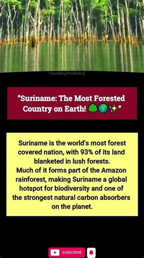 “Suriname: The Most Forested Country on Earth! 🌳🌍✨”