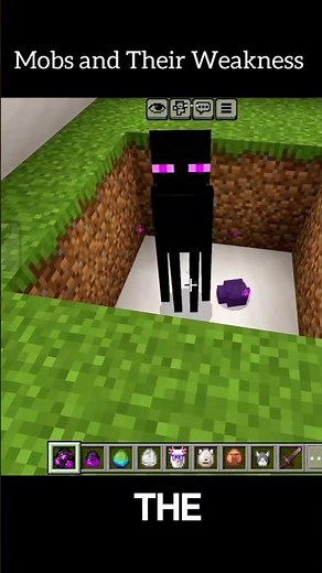 Mobs and Their Weakness🔥🤯 #equipou #minecraft