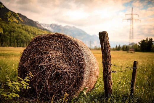 Moving a Round Bale Without a Tractor | Horse Tack Database