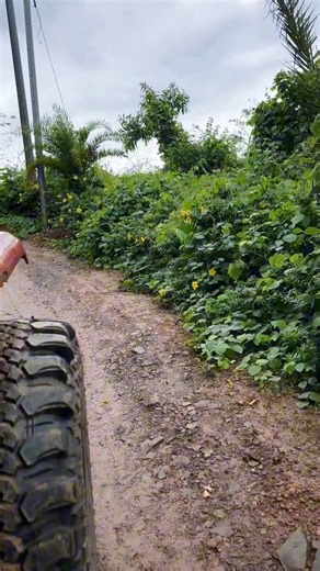 DAR inspection of farm lots. Simula na ng madugong process for DAR clearances! 😅🙏💚🌳🌴⛰️☀️🌧️🌦️ | Irene Evangelista