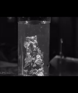 The Bride of Frankenstein (1935) ☠️ Thank you @cath_sea for letting me know about this scene! #spookyseason #brideoffrankenstein #postrequest #historyofmermaids #mermaidhistory #mermaids #mermaidsinfilm #universalstudios #universalmonsters #frankenstein | History of Mermaids