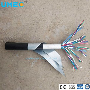 [Hot Item] PE Sheath Multiconductor Railway Signaling Cables Double Steel Tape Armoured Ptya23