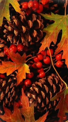 Captivating Close-Ups of Autumn Leaves in Vivid Colors