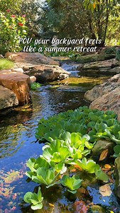 If you’ve been thinking about getting a water feature, let this be your sign to finally get one! 🙌 Imagine gifting someone the exciting process of having us create a beautiful and relaxing water feature that you can enjoy for so many years to come. What would you go with, a pond, a fountainscape, or even a Pondless waterfall?! 😍 | Team Aquascape