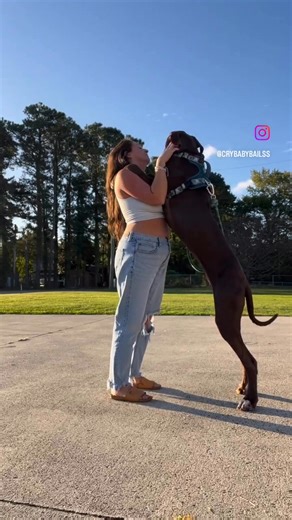 I miss my boy, one day you’ll be back with the girls and me | Iris Baileyy