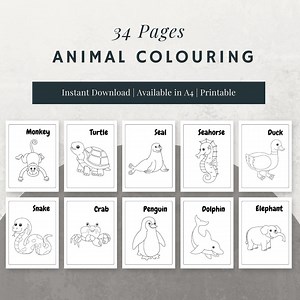 Printable Animal Coloring Pages for Kids | Fun Animal Designs | Instant Download - Etsy