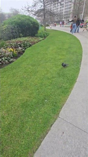 we caught a squirrel