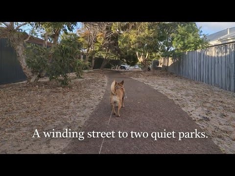 A winding street to two quiet parks. Slow walk with Chiqui the dog.
