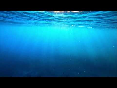 Gregory Ocean - tide line | Peaceful Ambient Ocean Music