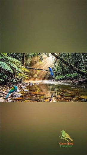 Tropical Bird Sounds by the River 🐦💧 | Calm Nature Ambience for Relaxing #BirdSounds #RiverSounds
