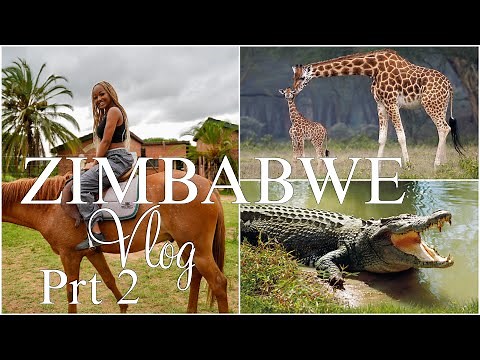 ZIMBABWE TRAVEL VLOG 2 | A DAY AT MUKUVISI WOODLANDS HARARE