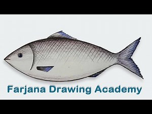 How to draw a fish (very easy) Video Lecture | Art and Sketching for Junior Classes - Grade 2