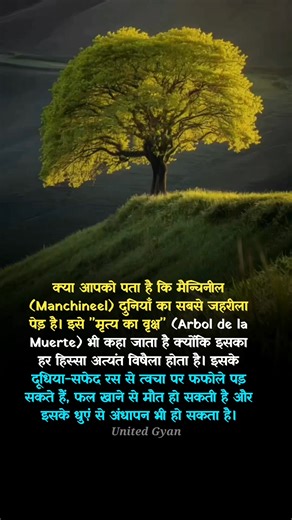 17K views · 126 reactions |  रहस्मयी जानकारी के लिए फॉलो करें  . . . Image/video owner full credit and respect  No copyright infringement intended. Email/DM us to fix/remove. We need this picture/video for education purpose . . . . #education #knowledge #generalknowledge #gk #space #spacefacts #sun #earth #moon #isro #nasa | यूनाइटेड ज्ञान | Facebook