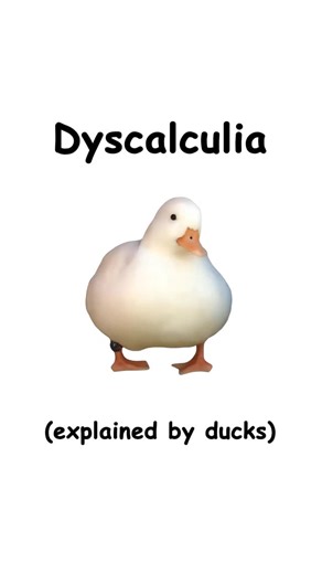 Dyscalculia (explained by ducks) | Diploma Duck