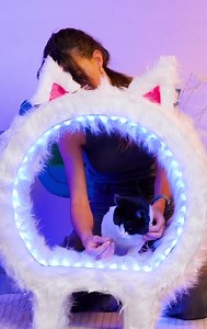 42K views · 35 reactions | Chic Cardboard Cat House DIY | 3-Minute Hacks | Facebook