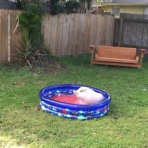 Actual footage of me on spring break. (via My Best Friend Hank) | Bad Parenting Moments