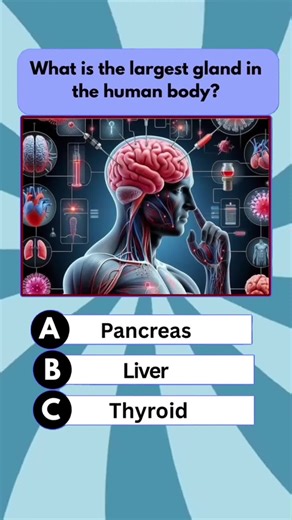 Basic Knowledge Quiz.....?????#vocabularyquiz #usaquiz #fypシ #generalknowledgequiz #dailyquiz