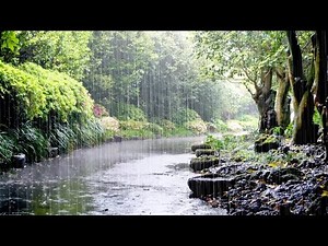 10 Hours of Comfortable Rain Sounds for Deep Sleep, Stress Relief, White Noise