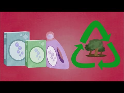 Adverse effects of detergents on the environment - WELS (Waterpedia Environmental Learning Series)