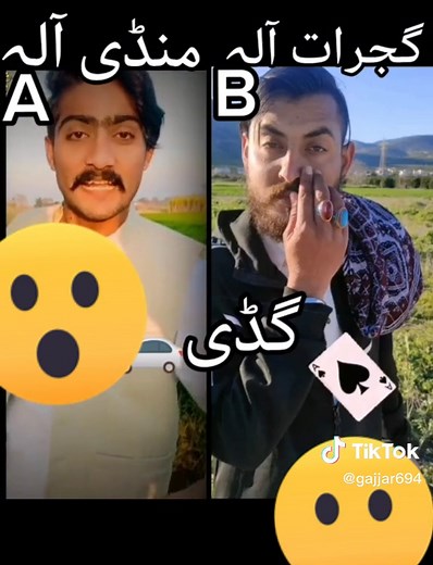 Gajjar 456 (@gajjar694)’s videos with original sound - Gajjar 456