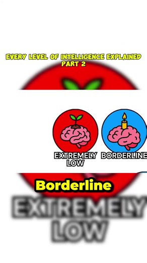 Understanding Different Levels of Intelligence Explained