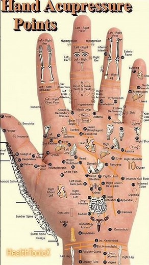 Hand Acupressure Points/ #health #facts #HealthTonicX