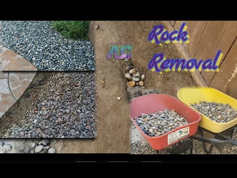 Removing Rocks | Renovation for Rock Planter