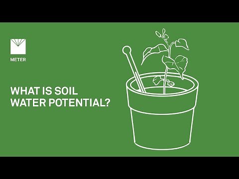 What is soil water potential? - Explainer Video by METER