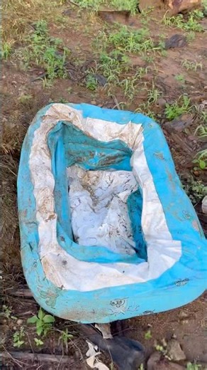 We Found an Abandoned Baby Pool!🏊‍♀️(Shocking Discovery) #abondoned #babypool #babyshark