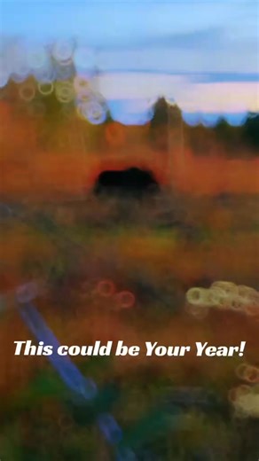 New Brunswick non-resident moose draw open now! Message for details on how to enter today. | Owl Lake Outfitters