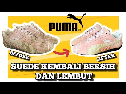 Cara mudah membersihkan sepatu puma bahan full suede berwarna terang