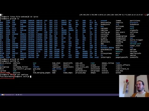 In Linux Almost Everything is a File. So what?