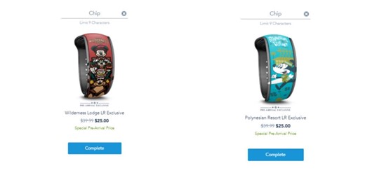 New Resort Themed Pre-Arrival MagicBands available online | Chip and Company