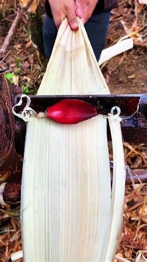 Traditional Craft of Bark Scraping for Hemp Cloth and Rope! #traditional #craft #work