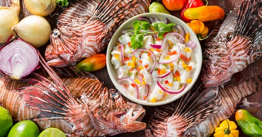 Ways to Prepare and Cook Lionfish - Lionfish Divers