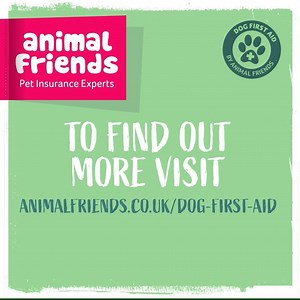 1.2K views | Do you know how to check your dog’s vital signs? You need to know your dog’s normal breathing and pulse rates, so in case of an emergency situation you can check and compare the readings. Visit animalfriends.co.uk/dog-first-aid to learn more. | Animal Friends Pet Insurance | Facebook