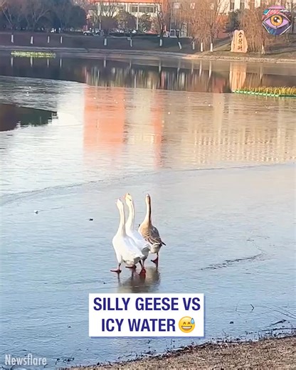 Mom: "Don't do that!" Me: "Challenge accepted!" 😉 | 7-Second Riddles