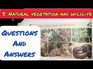 5. NATURAL VEGETATION AND WILDLIFE QUESTIONS AND ANSWERS/EXERCISE - CLASS 10 GEOGRAPHY CHAPTER 5