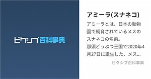 アミーラ(スナネコ)
