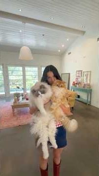 Inside a Cat Lady’s Dream Home